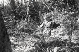 Archaeologist working at site