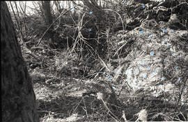 Archaeological site