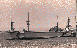 Beached boats