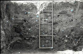 Tracing grid on wall
