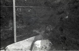 E. face of Ma 55 Trench II from 49 base line S 110&#039; - S 115&#039; E 4&#039; close-up