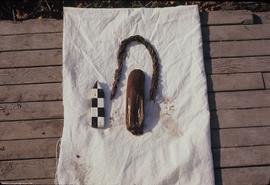 Waterlogged artifacts: #8167 (rope) #8168 (wedge)