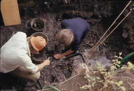 General - crew water - digging in n 4-6 e 16-18