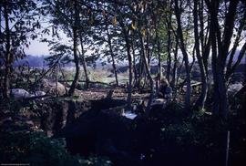 General - crew (trench e 4-6 in foreground)