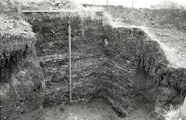 Ma 55 Trench I looking SE