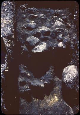 View of fire cracked cobbles in trench