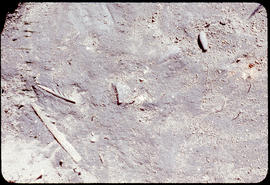 Two barbed antler point, one stone pendant in situ