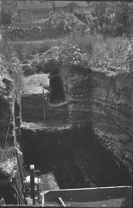 View to south of trench