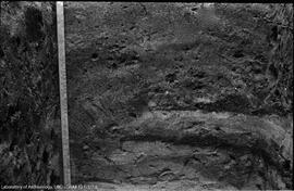 Cross-section of deep sandy deposit at 47&#039;6&quot;