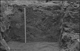 General view to north of trench 4 showing to four foot levels