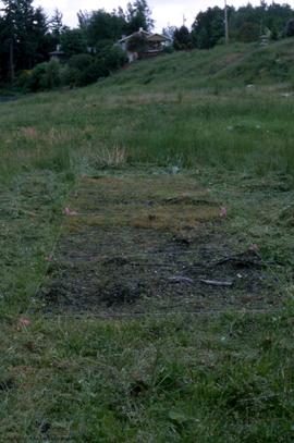 Grass removed from trench