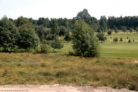 Site south of trenches