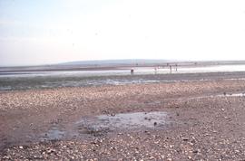 Low tide at Centenial Beach