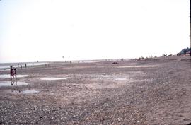 Low tide at Centenial Beach