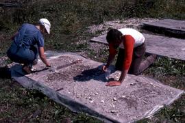 Cindy + R.G. sorting dried matrix