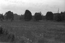 View to SE, Whalen Site