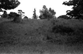 View to E, Trench I knoll crest