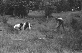 J Hirabayashi and P Goldstein staking out trench I