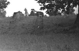 General View to E, of west portion trench I with turf cleaned