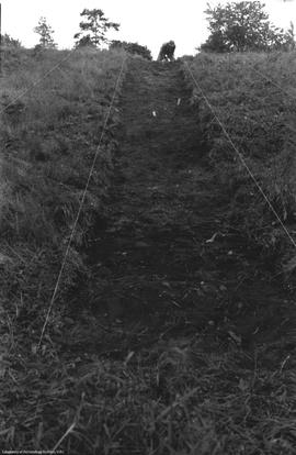 View to E close-up west end trench I with turf removed