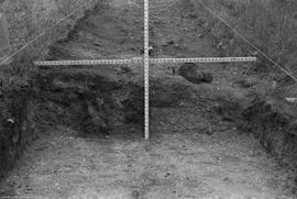 View to W cross-section.  Trench I at E 20&#039;, max D of depression 18&quot;