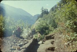 Miliken site - view along top of 59 trench to north