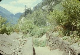 View N [north] along top of &#039;59 trench