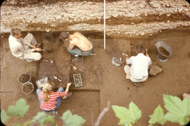 &#039;59 trench - view from above