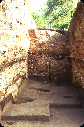 59 trench - view south