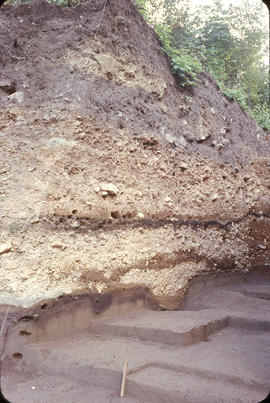 east face 59 trench