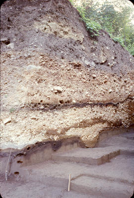 59 trench east face