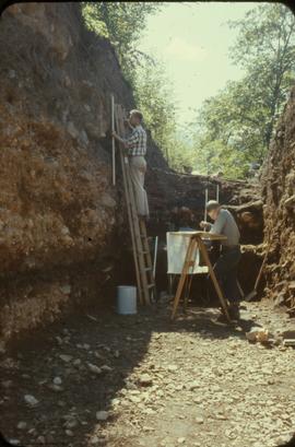 &#039;59 trench - view south