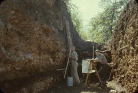 59 trench - view south