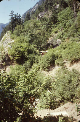 View north from Milleken [Milliken] site to camp