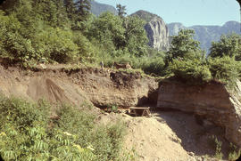 View south to Milliken site