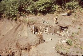 Progress shot, upper horizons, east of 59 trench view to NE