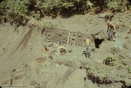 Progress shot, area east of 59 trench, view to NE