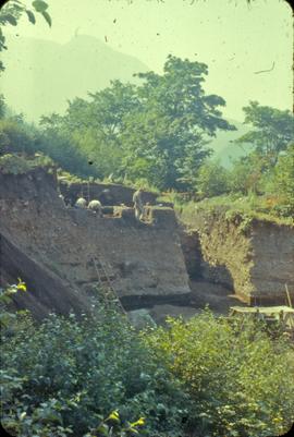Milliken site-view south