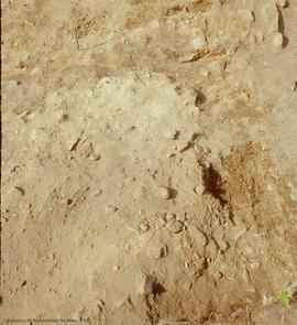 View, from above and to north, showing surface of D gravel