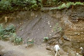 View of east side of &quot;bowl&quot; R. Cox indicating Mazana Ash