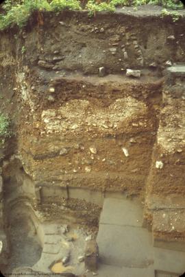 General view, to E, from above of 1960 excavation