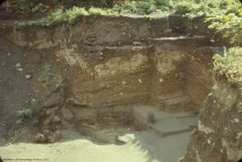 General view, to SE, from above, of 1960 excavation