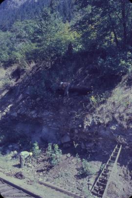 Railway cut site.  fosalized [fossilized] midden