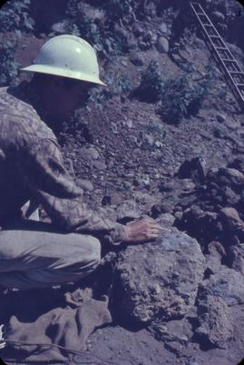 Railway cut site.  D. Rice indicating artifact in fossalized [fossilized] midden