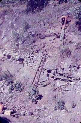 Railway cut site containing fossalized [fossilized] midden