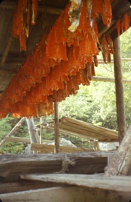 Salmon drying rack.  Fraser Canyon